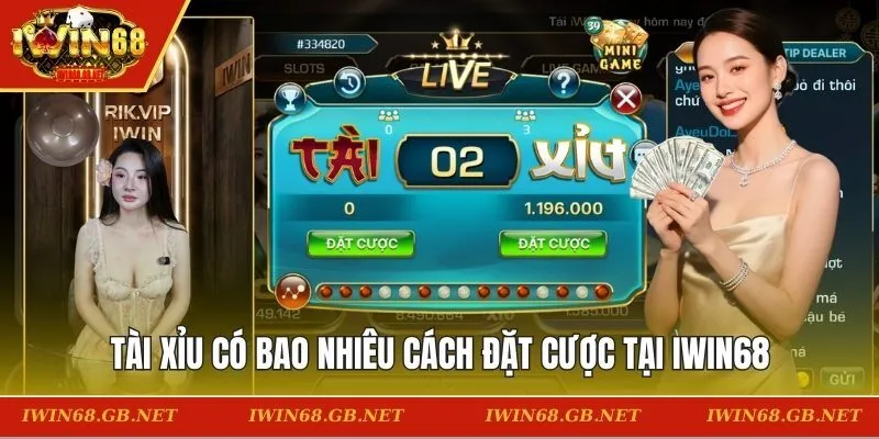 Tìm hiểu tài xỉu có bao nhiêu cách đặt cược tại IWIN68